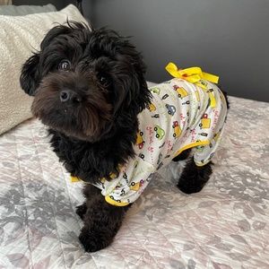 Dog Pajamas
